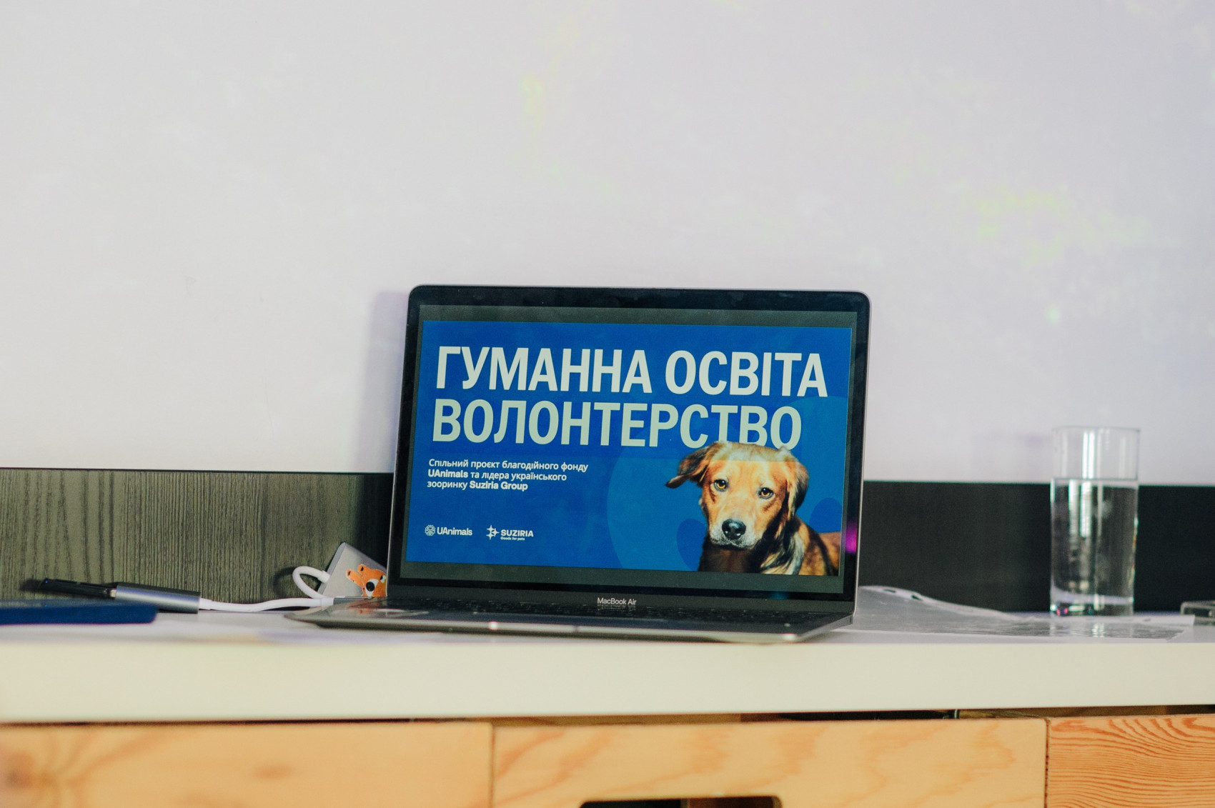 Suziria Group та UAnimals створили освітній проєкт "Гуманна освіта та волонтерство" для вчителів