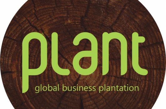 Plant – лига компаний­новаторов