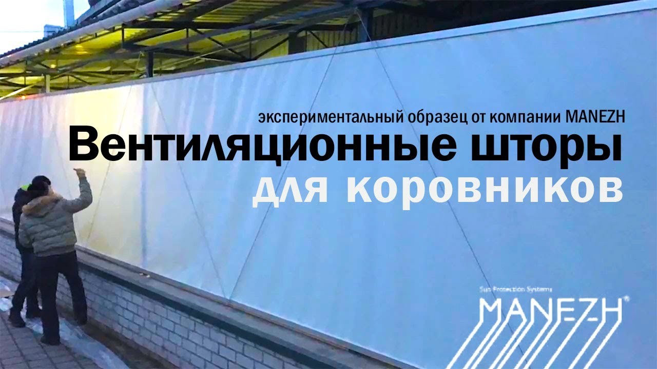Штора для буренки