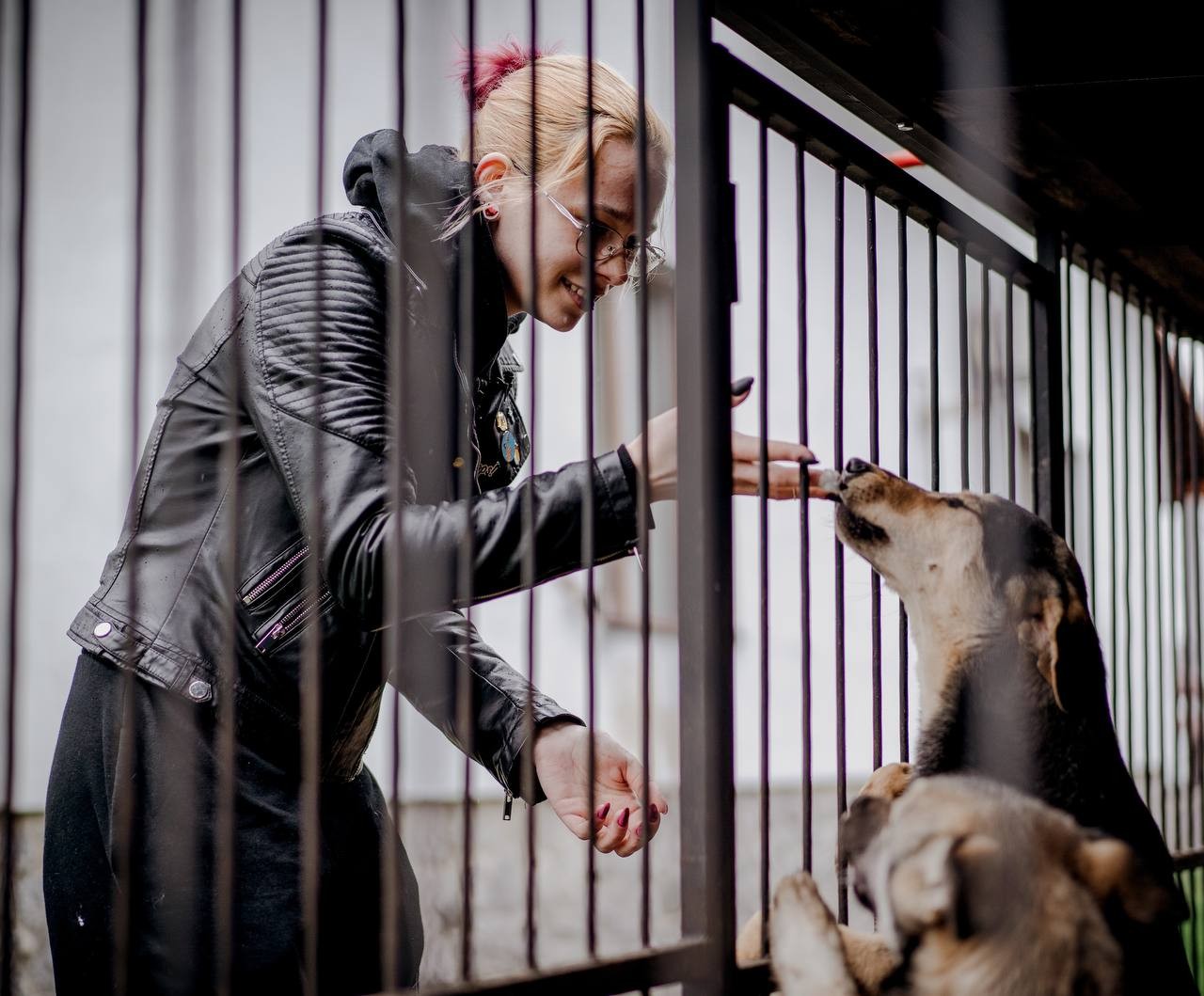 Suziria Group створила благодійний фонд "Suziria Charity" і розпочинає проєкт з допомоги притулку “Дім Хвостів’’ Анастасії Тихої